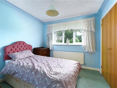 Picture 15